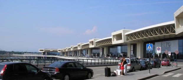 Per uno scambio di bagagli all'aeroporto di MIlano Malpensa trovati in un trolley 69 uccellini nascosti dentro bigodini Per uno scambio di bagagli all'aeroporto di MIlano Malpensa trovati in un trolley 69 uccellini nascosti dentro bigodini