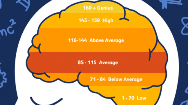 Immagine che mostra la classfiicazione in livelli del Quoziente Intellettivo.