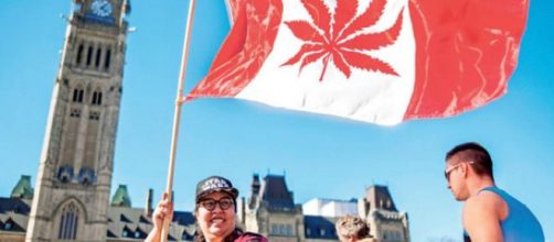 CANADÁ/ el senado decidió legalizar la marihuana
