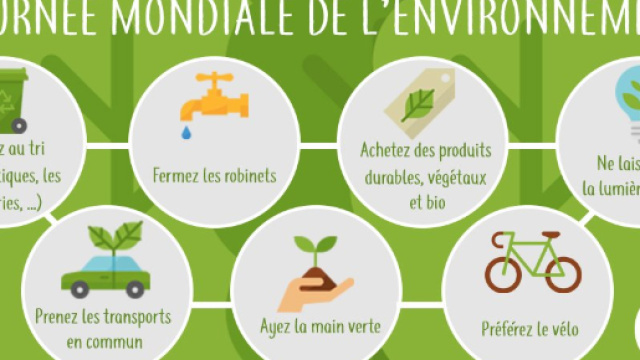 Emilie Kovacs (@EmilieKovacs) | Twitter - twitter.com