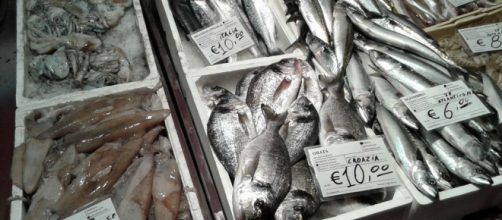 L'Italia tra i maggiori consumatori di pesce fresco nel mondo