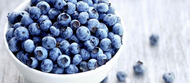 Comer arándanos mejora el sistema inmunitario Comer arándanos mejora el sistema inmunitario