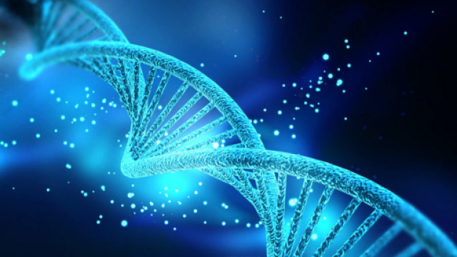 Proteina dna, le scoperte - bigthink.com