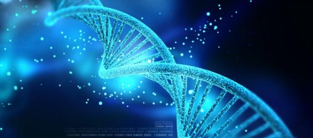 Sarà possibile sintetizzare il DNA più velocemente. Sarà possibile sintetizzare il DNA più velocemente.