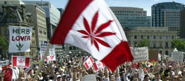 Kanada: Legalisierung von Marihuana einen Schritt weiter ... - bento.de Kanada: Legalisierung von Marihuana einen Schritt weiter ... - bento.de
