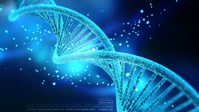 Sar&agrave; possibile sintetizzare il DNA pi&ugrave; velocemente.