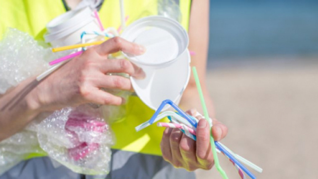 Déchets dans la mer : les pailles en plastique bientôt interdites ? - 1jour1actu.com