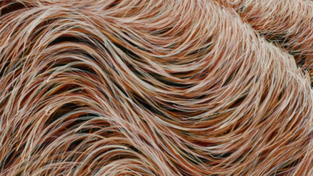 "Un vento marino alitava e sospirava nell’ombra" - opera di Franco Azzinari