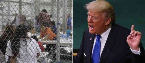 Trump y la separación de niños de sus familias inmigrantes - semana.com