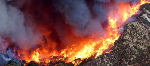 Flames of the Simi Valley Fire ravage a mountain side in Southern California. - [Image courtesy - Dennis W. Goff / Wikimedia Commons]