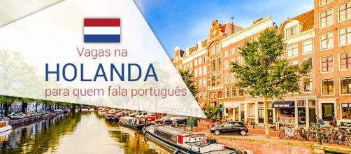 Holanda contrata profissionais com fluência em português