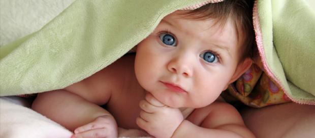 Bologna, nascerà bambino dopo trapianto di utero tra sorelle gemelle: primo caso al mondo Bologna, nascerà bambino dopo trapianto di utero tra sorelle gemelle: primo caso al mondo