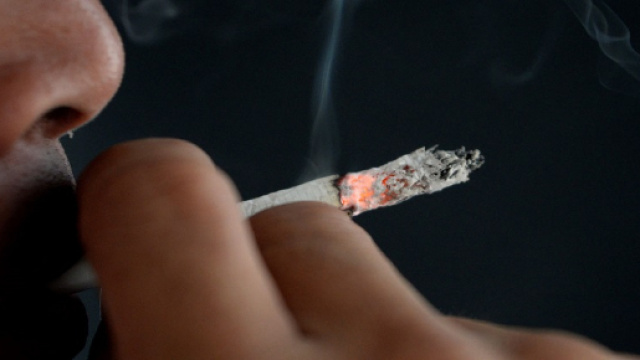 Santé : quatre cancers sur dix pourraient être évités selon une étude