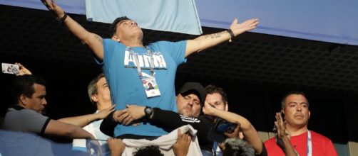 Nigeria-Argentina: dopo il malore in tribuna, Maradona ha esultato per la vittoria della sua nazionale.