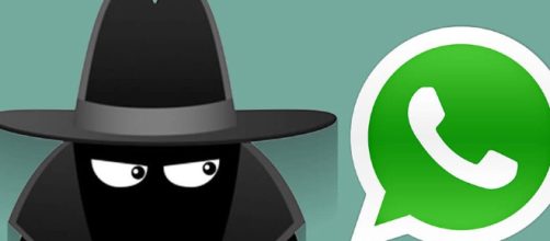 WhatsApp, novità: presto si potranno nascondere le foto nelle conversazioni