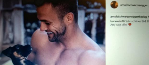 Bachelor im Hundeparadies: Philipp Stehler und der kleine Arnold sind ein Herz und eine Seele Bachelor im Hundeparadies: Philipp Stehler und der kleine Arnold sind ein Herz und eine Seele