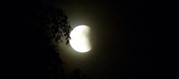 Il prossimo 27 luglio è attesa l'eclissi di Luna più lunga di tutto il secolo. Il prossimo 27 luglio è attesa l'eclissi di Luna più lunga di tutto il secolo.