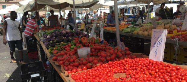 Les producteurs agricoles italiens exploitent les migrants dans le sud du pays Les producteurs agricoles italiens exploitent les migrants dans le sud du pays