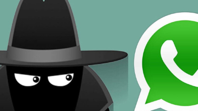 WhatsApp, novità: presto si potranno nascondere le foto nelle conversazioni