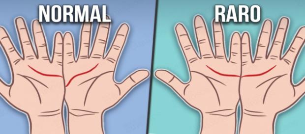 As linhas das mãos podem revelar mais sobre a personalidade das pessoas As linhas das mãos podem revelar mais sobre a personalidade das pessoas