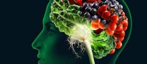 Que alimentos comer para el sistema nervioso