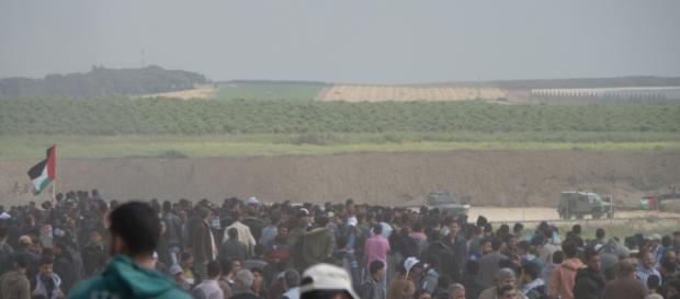 Main News - palestinemonitor.org Main News - palestinemonitor.org