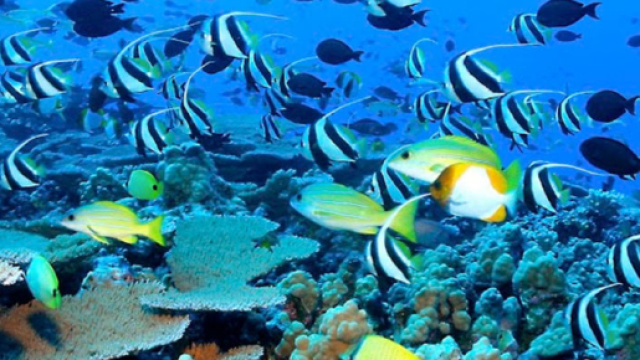 Giornata mondiale dell'ambiente: la lotta alla plastica &egrave; il tema principale