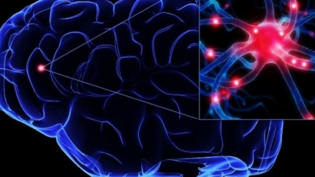 Tsunami cerebrale, neuroni depolarizzati