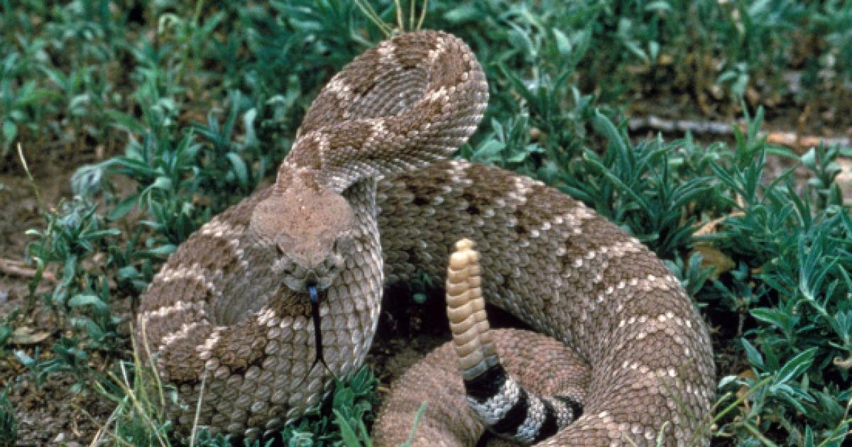 Usa uomo rischia di morire per