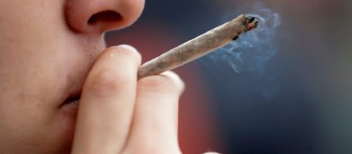 L'Italia ai primi posti in Europa per il consumo di cannabis e cocaina