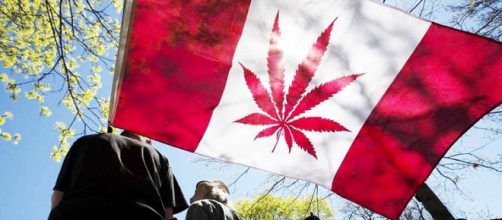 Senato del Canada approva legge sulla legalizzazione della marijuana