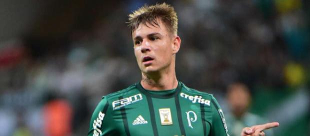 Róger Guedes não deve voltar ao Palmeiras após empréstimo ao Atlético Róger Guedes não deve voltar ao Palmeiras após empréstimo ao Atlético