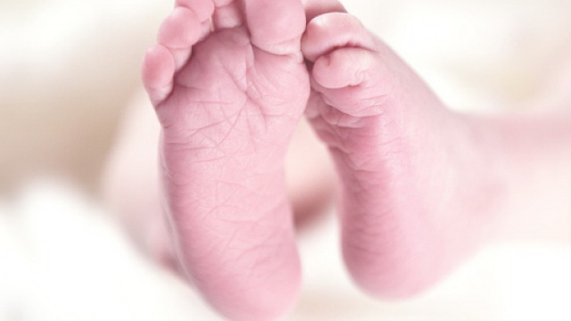 Usa: un test del sangue permetterebbe di stabilire con precisione la data del parto.