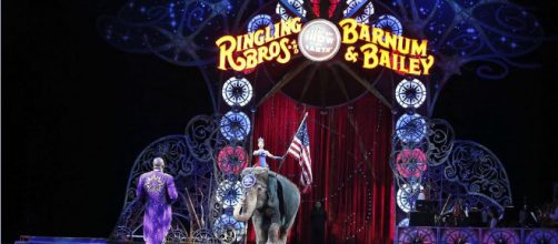 El show con animales salvajes mantiene al Circo de la Nación de China con poca audiencia