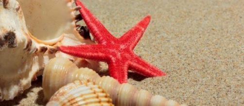 Oroscopo del giorno 14 luglio 2018 | Previsioni e consigli su amore e lavoro per i primi sei segni zodiacali.
