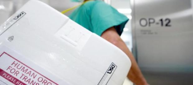 Deutlich mehr Organspender im ersten Halbjahr 2018 - Mannheimer ... - morgenweb.de Deutlich mehr Organspender im ersten Halbjahr 2018 - Mannheimer ... - morgenweb.de