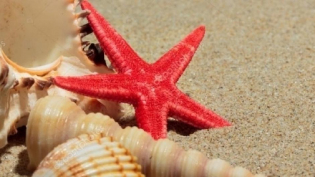 Oroscopo del giorno 14 luglio 2018 | Previsioni e consigli su amore e lavoro per i primi sei segni zodiacali.