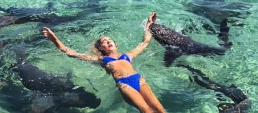 Un pericoloso squalo ha atteccato una donna intenta a farsi una foto da mettere su Instagram