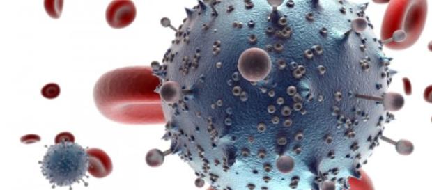 Allarme per alcuni turisti scandinavi contagiati a Gran Canaria da un batterio particolarmente resistente alle cure Allarme per alcuni turisti scandinavi contagiati a Gran Canaria da un batterio particolarmente resistente alle cure