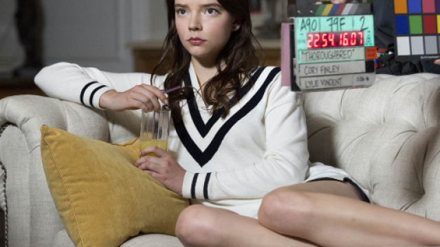 Amiche di sangue: il thriller in Italia dal 2 agosto - universalpictures.it