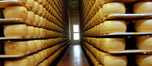 Parmigiano o Piacentino? La vera storia delle forme di formaggio ... - ilsole24ore.com