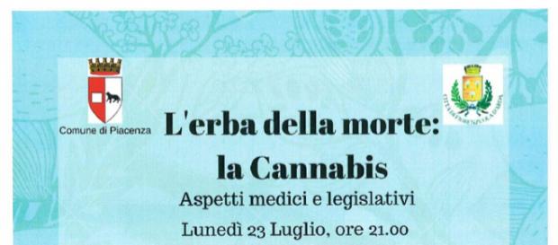 Piacenza: L'erba della morte, fa discutere il convegno leghista sulla cannabis Piacenza: L'erba della morte, fa discutere il convegno leghista sulla cannabis