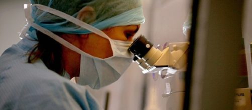 Si apre la strada verso l'ovaio artificiale umano,contro l'infertilità da cure oncologiche