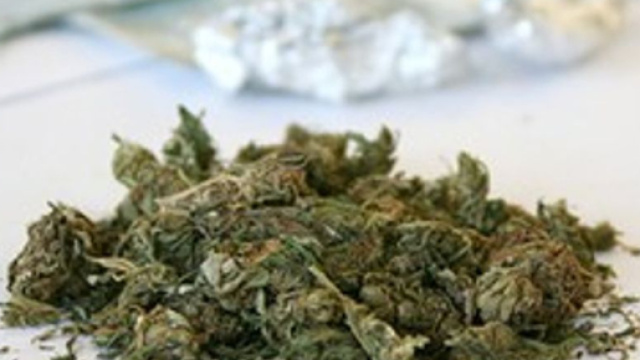 Coltivava "maria" nell'orto di casa, pollice verde in manette