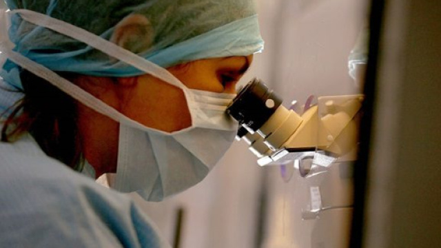 Si apre la strada verso l'ovaio artificiale umano,contro l'infertilit&agrave; da cure oncologiche