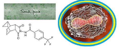 La FDA ha approvato Tpoxx, un nuovo farmaco efficace contro il vaiolo, utile in casi di attacchi terroristici con armi biologiche.