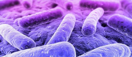 Mycoplasma genitalium: allarme per il superbatterio sessualmente trasmissibile