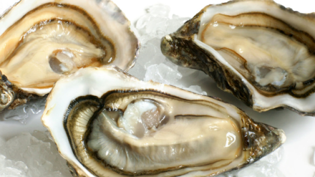 Mangia ostriche crude e muore dopo due giorni