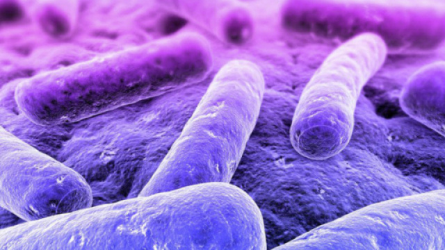 Mycoplasma genitalium: allarme per il superbatterio sessualmente trasmissibile