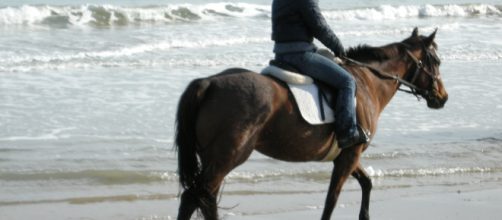 Ivrea, passeggia a cavallo, ma è ubriaco: denunciato per guida in stato di ebbrezza